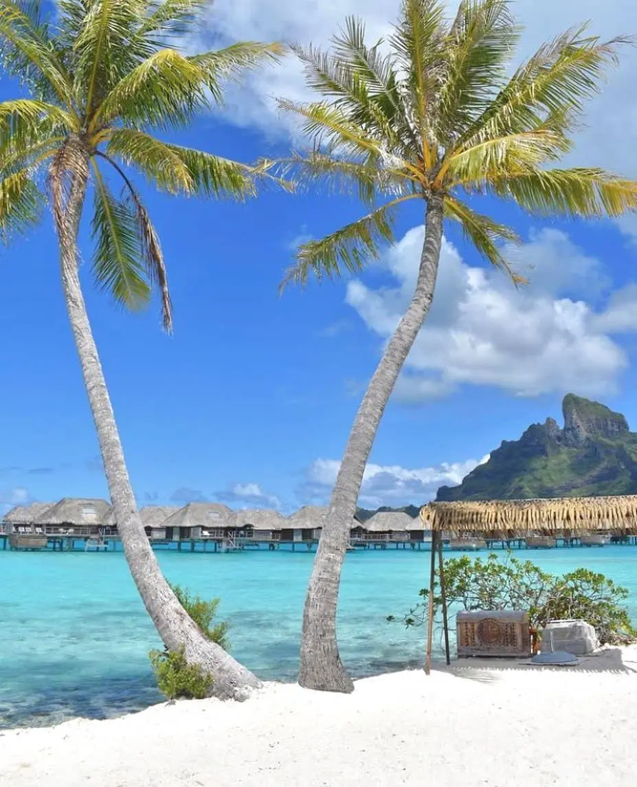 Palmeras en la playa de Bora Bora con casetas sobre el agua al fondo, escenario de luna de miel