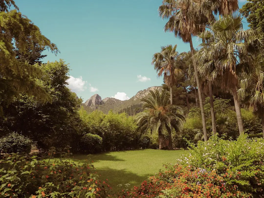 Jardín de los jardines de Alfabia en Mallorca con vistas panorámicas a la majestuosa Sierra de Tramuntana. Esta es una de las mejores fincas para bodas en Mallorca.