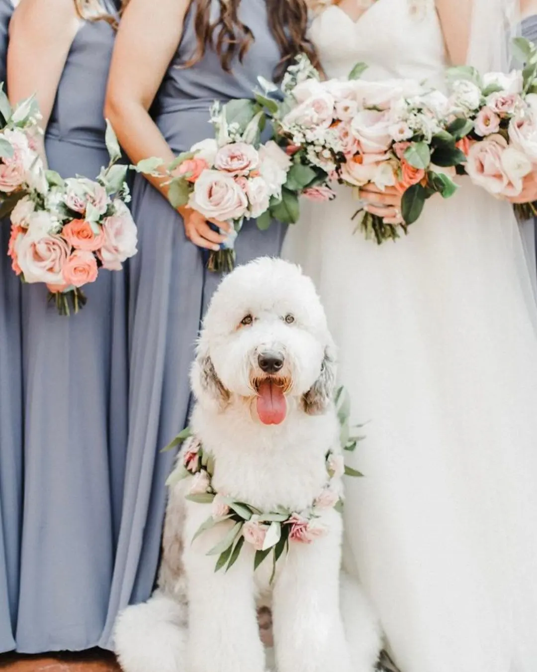 Perro encantador con un collar de flores posando en primer plano, con las damas de honor y sus ramos al fondo.