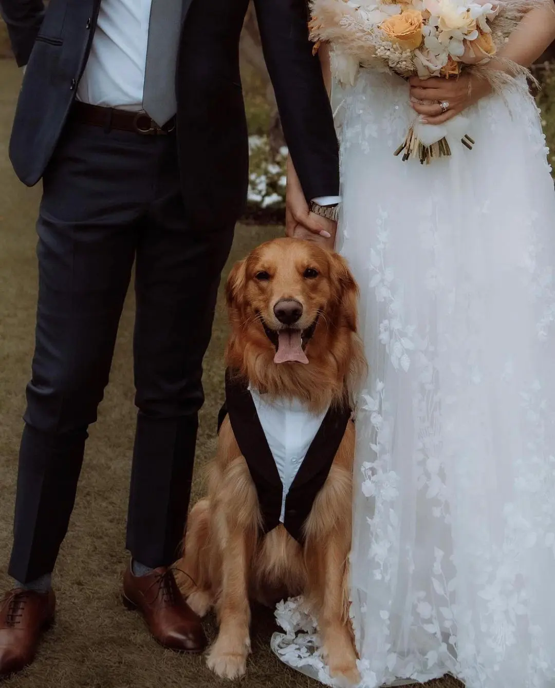 Golden Retriever elegantemente vestido con un smoking posando junto a los novios sonrientes.