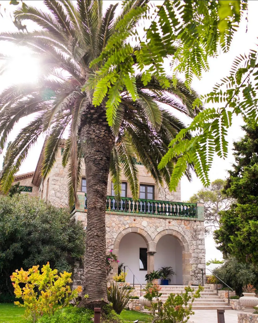 Boda de destino en España con fachada y palmera en Marbella