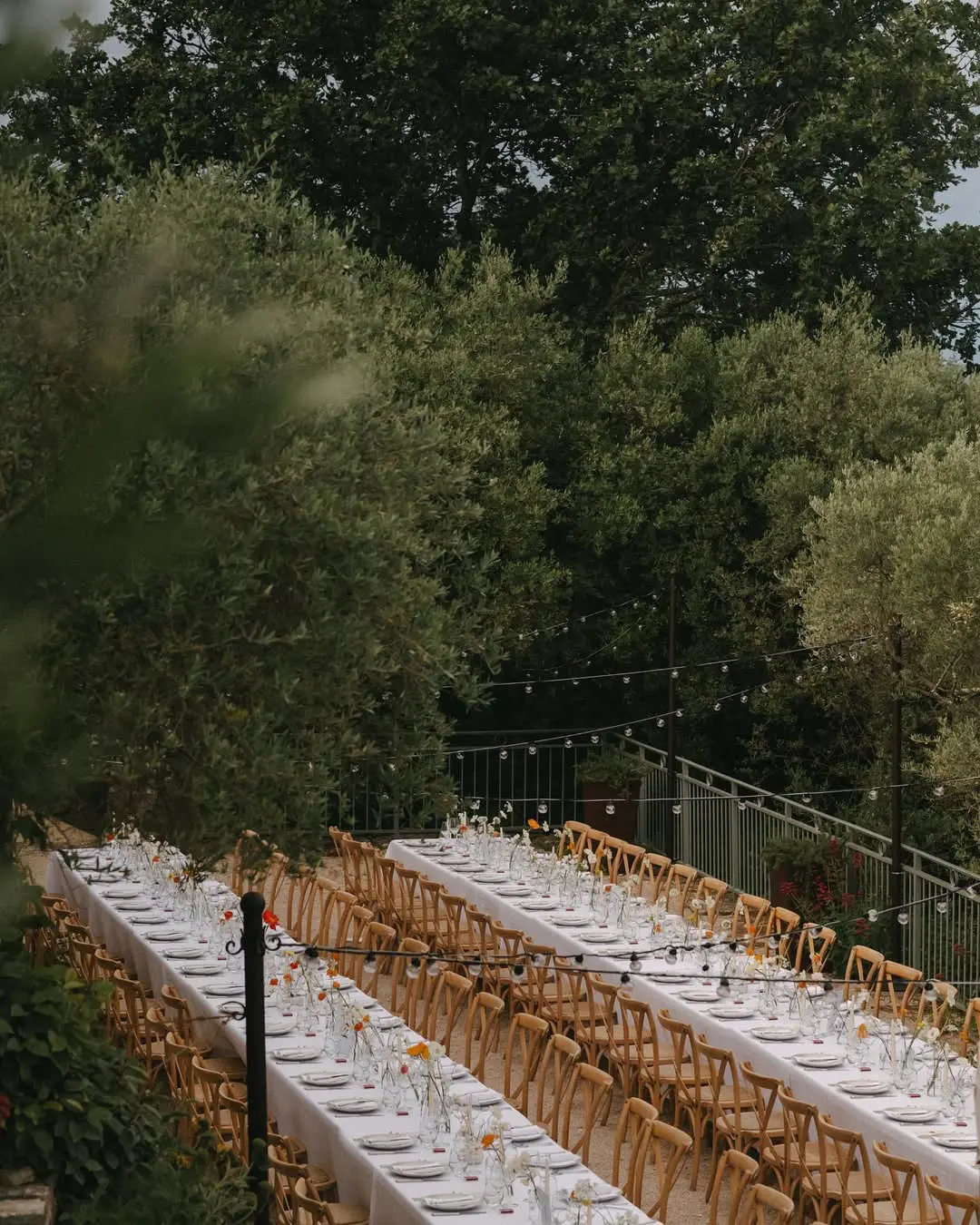 Banquete de boda con mesas largas en un entorno natural con luces colgantes.
