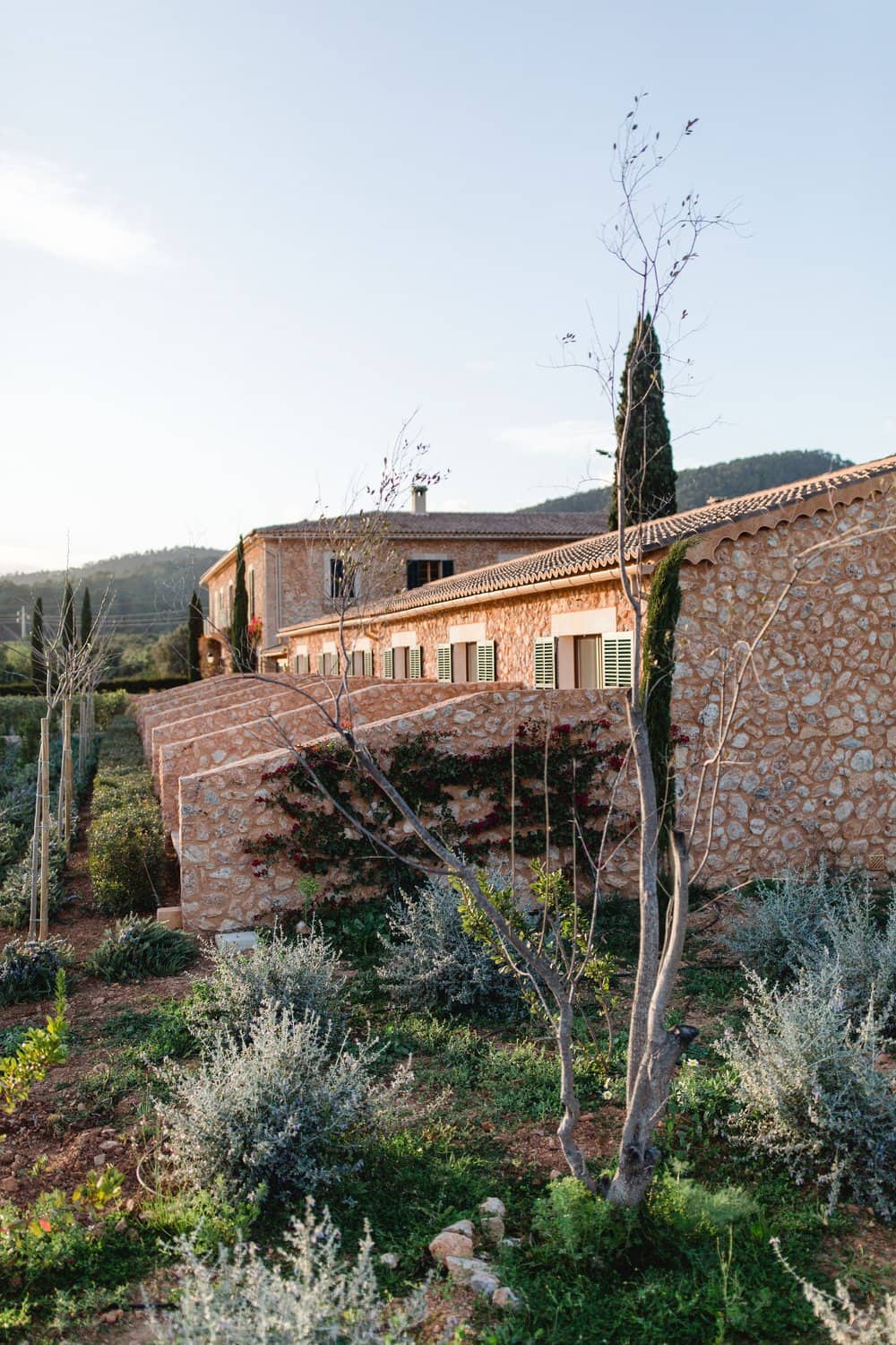 Vistas panorámicas desde el tejado de Finca Es Cabàs en Mallorca, rodeado de exuberante vegetación.