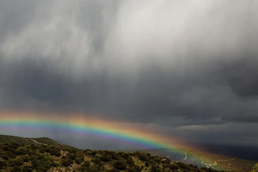 Día lluvioso con arcoíris: Novios eligen la primavera como su fecha de boda.
