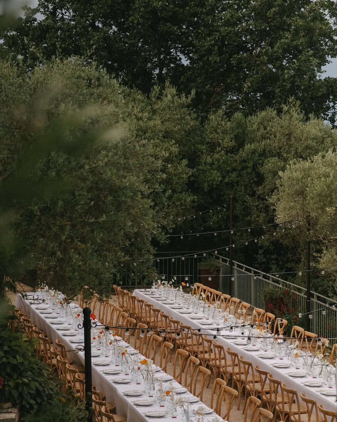 Banquete de boda con mesas largas en un entorno natural con luces colgantes.